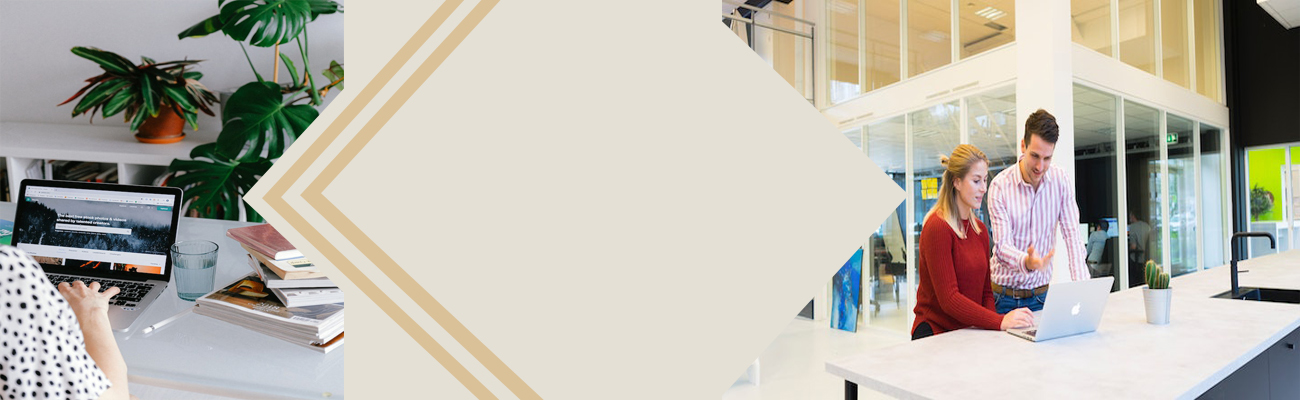 web developer in bhiwadi