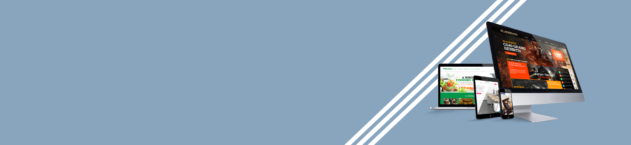 website-development-banner-glomax-technology